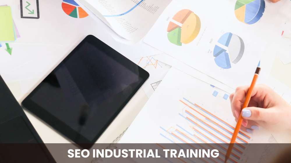 seo course in Mohali
